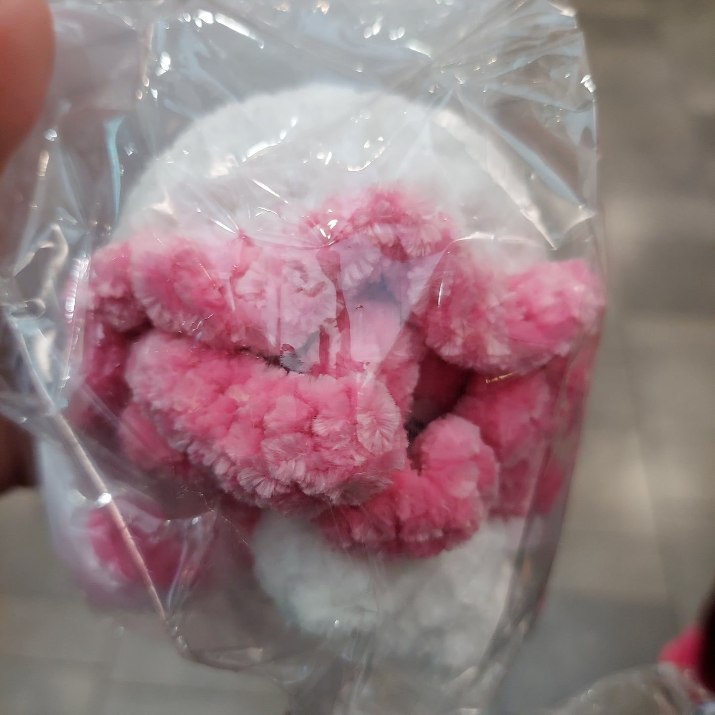 Sea minis, jelly